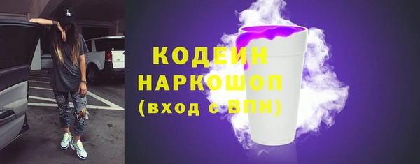 меф Вяземский