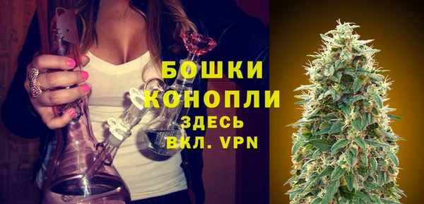стаф Волоколамск