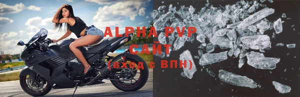 стаф Волоколамск