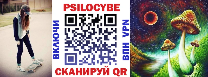 Купить закладки  Терек  Галлюциногенные грибы Cubensis 